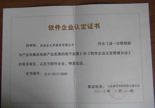 软件企业